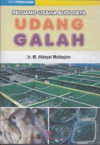 Peluang usaha budi daya udang galah