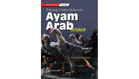 Peluang usaha beternak ayam arab intensif